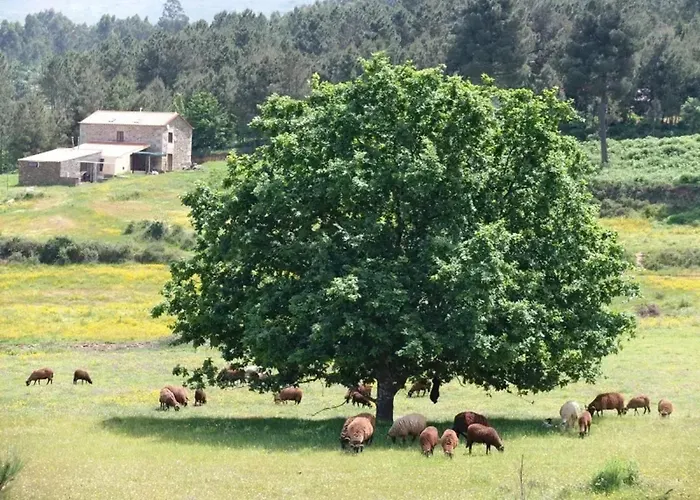 Spacious House In With Stunning Mountain Views, 150 M² Apartamento